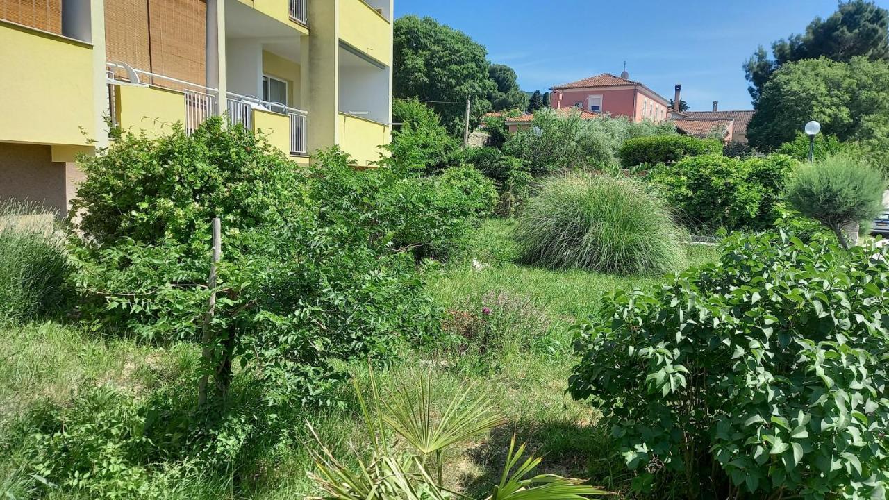 Apartment Sara - Cres Kültér fotó